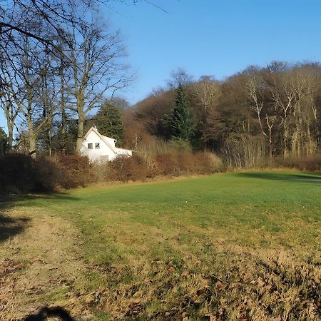 Ahlberg Ferienhaus Mariendorf  Dış mekan fotoğraf
