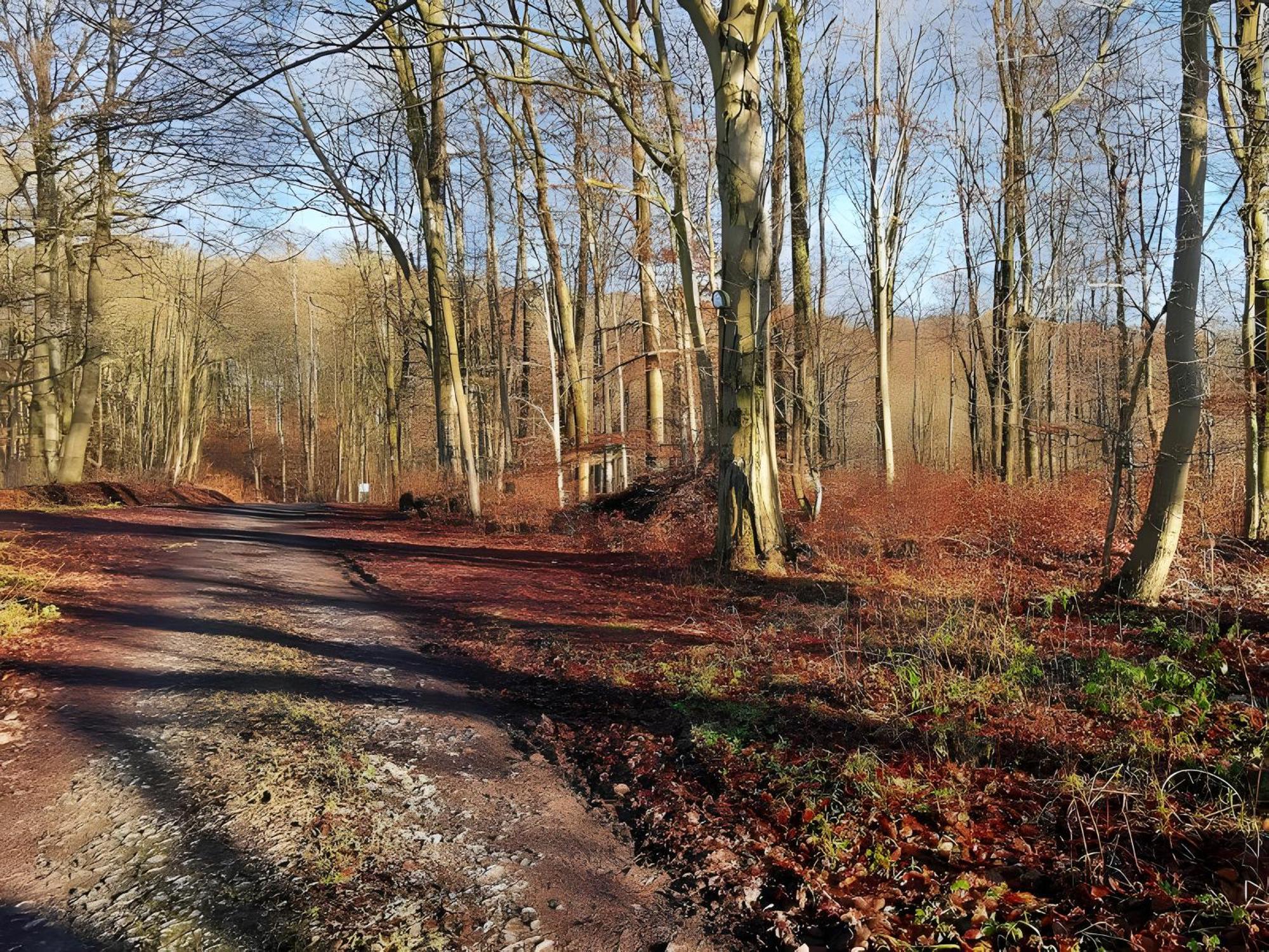Ahlberg Ferienhaus Mariendorf  Dış mekan fotoğraf